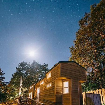 Umpqua'S Last Resort - Wilderness Cabins, Rv Park & Glamping Idleyld Park Dış mekan fotoğraf