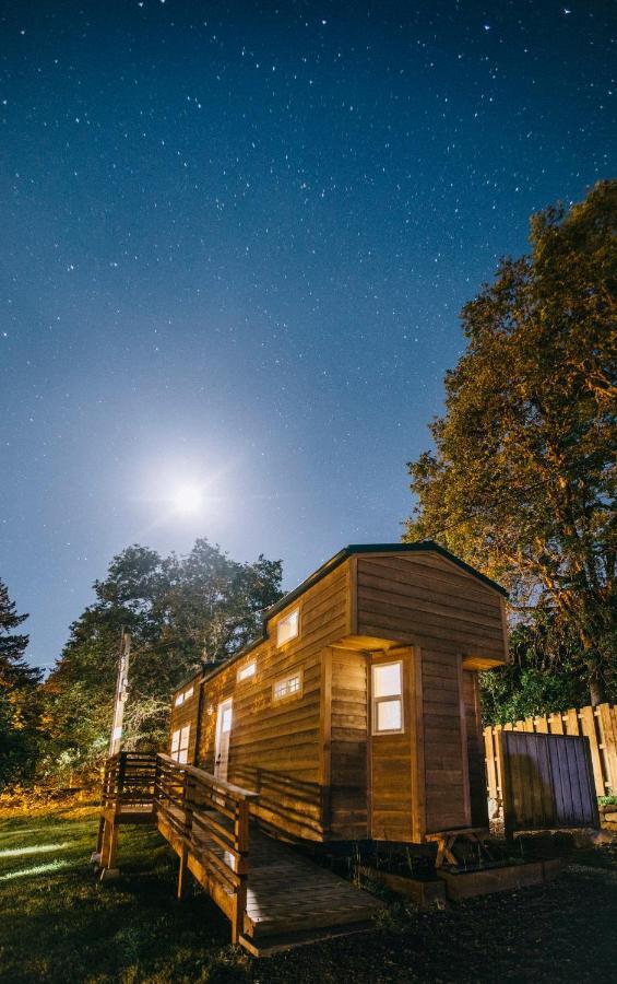 Umpqua'S Last Resort - Wilderness Cabins, Rv Park & Glamping Idleyld Park Dış mekan fotoğraf