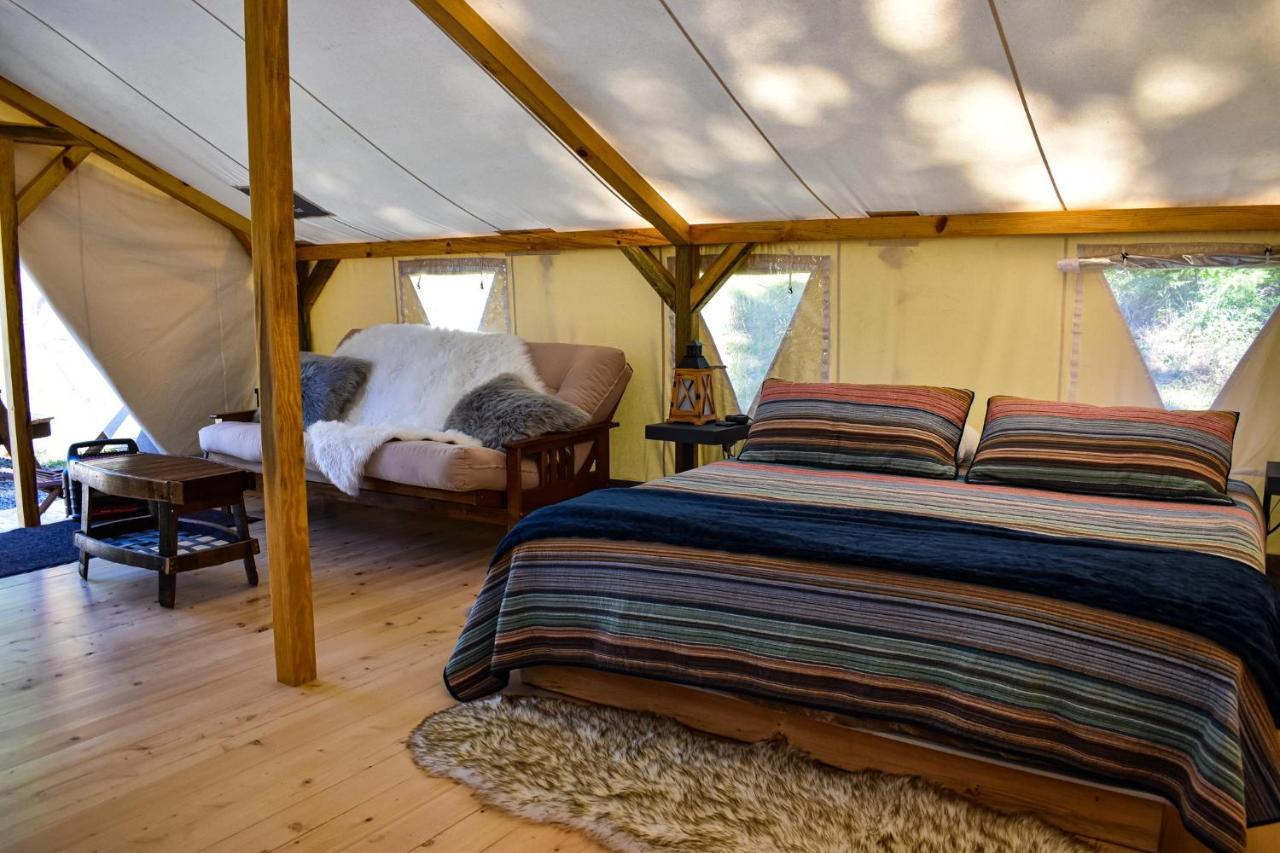 Umpqua'S Last Resort - Wilderness Cabins, Rv Park & Glamping Idleyld Park Dış mekan fotoğraf